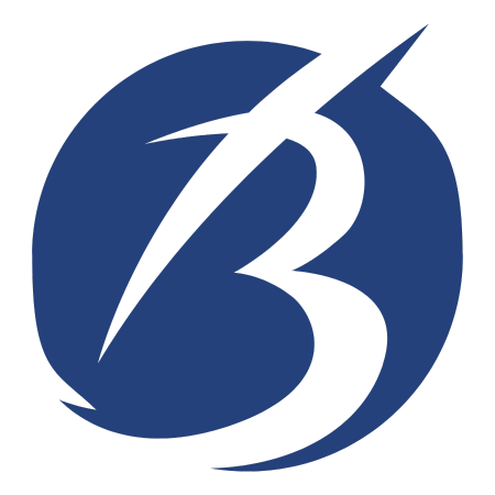 Braveco Team
